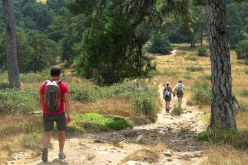 La Sierra de Madrid estrena cuatro nuevas Rutas Verdes - Foto CRTM