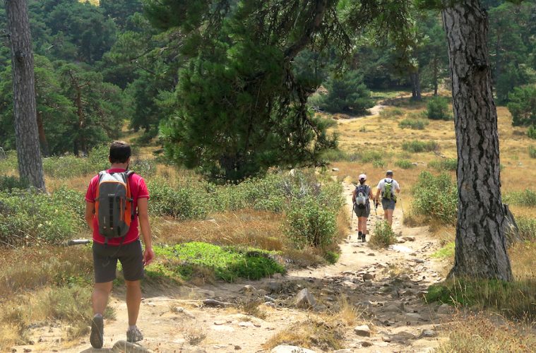 La Sierra de Madrid estrena cuatro nuevas Rutas Verdes - Foto CRTM