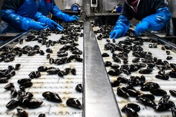 Plan de ayudas a la producción y comercialización de pesca y acuicultura