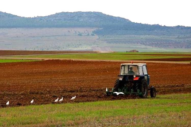 Ya se pueden presentar las solicitudes para el plan Renove de maquinaria agrícola - Foto MAPA