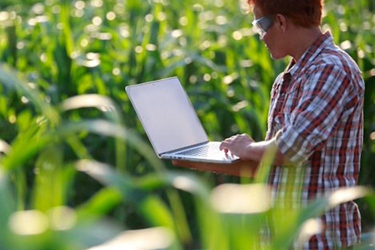 Ayudas para fomentar el intercambio de conocimiento y formación en el sector agroalimentario y forestal