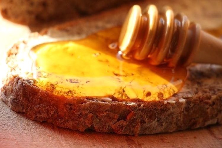 Buscando la mejor miel elaborada en España en 2024 - Foto Mieladictos