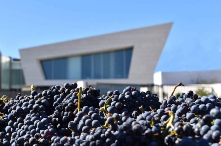 Cariñena quiere ser Ciudad Europea del Vino 2025 Foto Ruta del Vino Cariñena