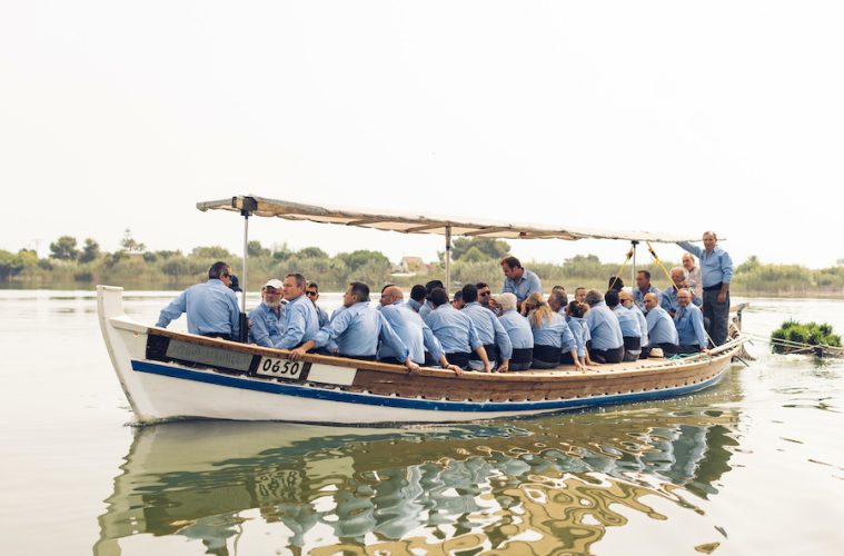 Chefs estrella Michelin participan en la cosecha tradicional del arroz