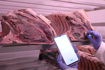Formación al sector sobre carne madurada segura y de calidad