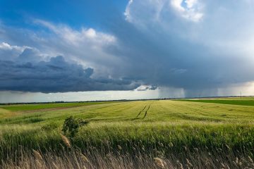 Hacia unos suelos agrícolas más saludables en Europa