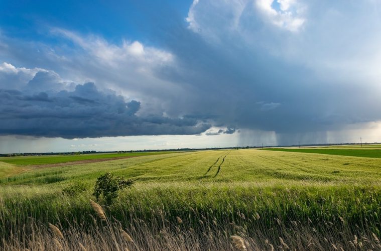 Hacia unos suelos agrícolas más saludables en Europa