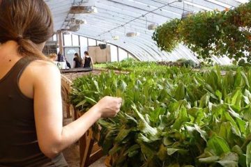 Jóvenes agricultores y ganaderos se reúnen en Sevilla para debatir sobre el futuro del sector