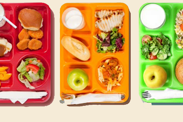 Las valoraciones de los dietistas-nutricionistas sobre los comedores escolares