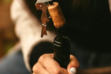 Nueva edición del Concurso de Vinos Ecológicos de la Comunidad Valenciana