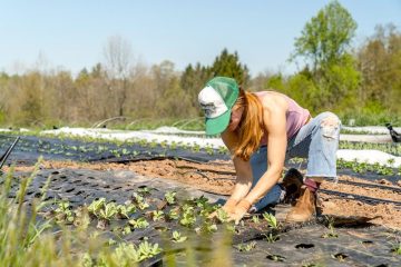 Curso gratuito de asesoramiento a explotaciones agrícolas y ganaderas