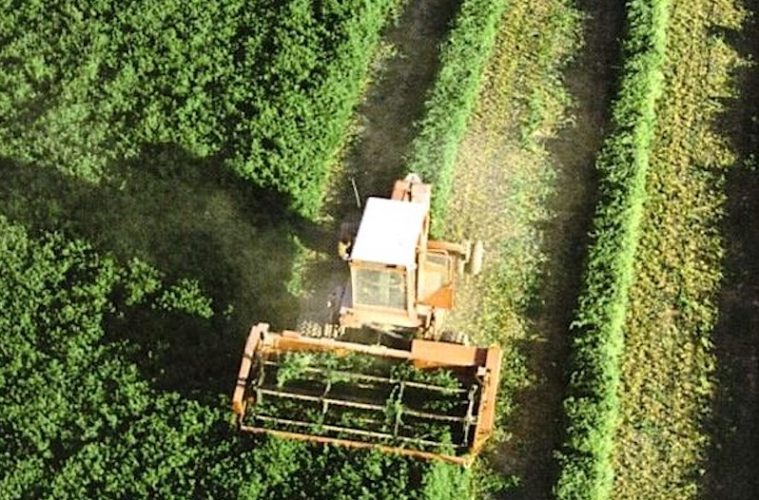 Finalizan los pagos a los agricultores de la PAC 2023 más de 4833 millones de euros - Foto MAPA