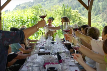 Nueva edición de Viña y Obra, festival de las artes y el vino en Cangas de Narcea