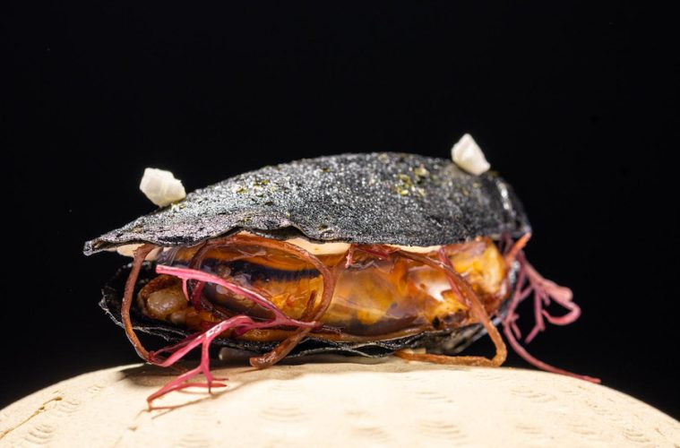Un trampantojo de mejillón, ganador del Campeonato de Pintxos de Euskadi y Navarra
