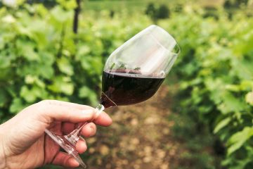 Cariñena y Requena defienden en Bruselas su candidatura a Ciudad Europea del Vino 2025
