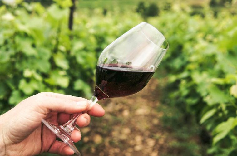 Cariñena y Requena defienden en Bruselas su candidatura a Ciudad Europea del Vino 2025