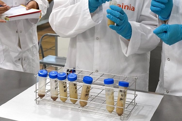 Hacia nuevas proteínas de fuentes alternativas (Foto Ainia)