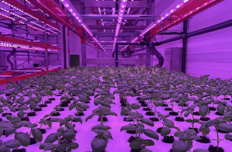 Startups con soluciones que pueden transformar el sector agroalimentario