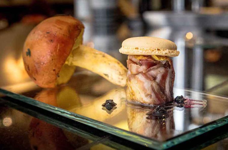Todo listo para comenzar la Semana de la Tapa Micológica de Soria