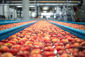 Un informe europeo demuestra la importancia de las cláusulas espejo en productos agrícolas (Foto Informe europeo)