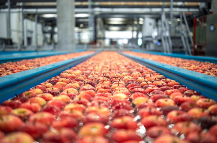 Un informe europeo demuestra la importancia de las cláusulas espejo en productos agrícolas (Foto Informe europeo)
