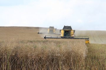 Aprobado el plan de seguros agrarios para 2025, con importantes novedades