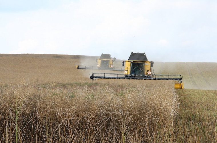 Aprobado el plan de seguros agrarios para 2025, con importantes novedades