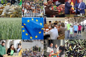 El balance de 2024 para el campo, visto por los agricultores y ganaderos - Fotos UPA