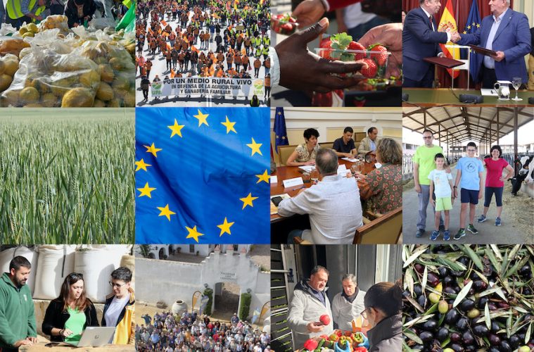 El balance de 2024 para el campo, visto por los agricultores y ganaderos - Fotos UPA