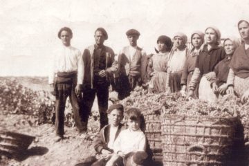 La historia de las Denominaciones de Origen - Foto DO La Mancha