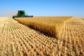 La renta agraria en España sigue creciendo Foto MAPA