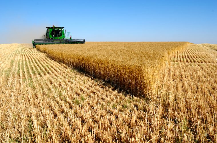La renta agraria en España sigue creciendo Foto MAPA
