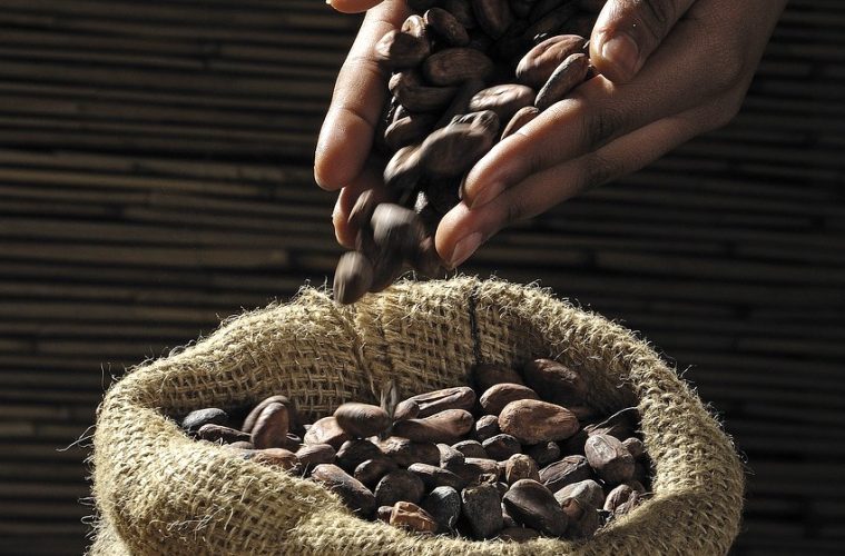 Los precios internacionales del cacao suben un 50 % coincidiendo con las fiestas navideñas
