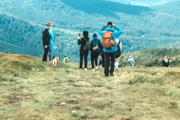 Actividades medioambientales gratuitas en la Comunidad de Madrid