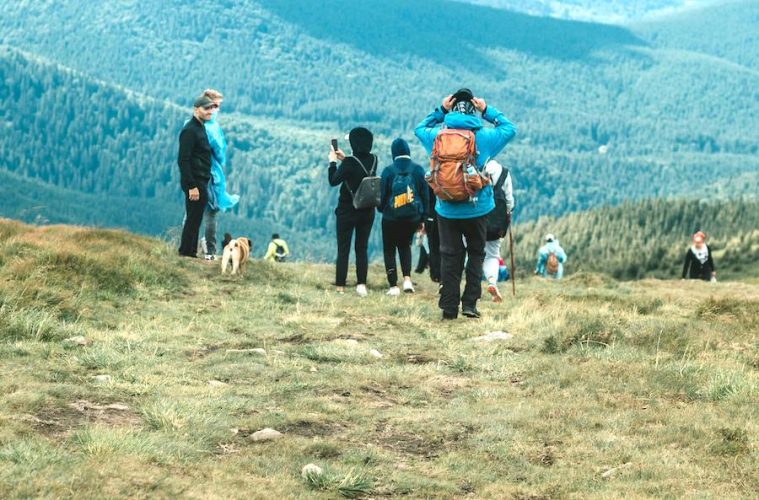 Actividades medioambientales gratuitas en la Comunidad de Madrid