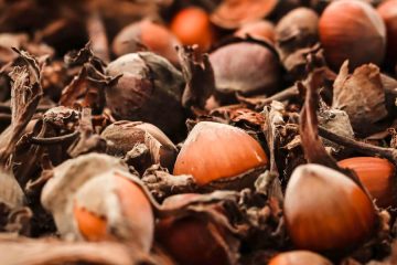 Biometano para el transporte a partir de residuos agroalimentarios