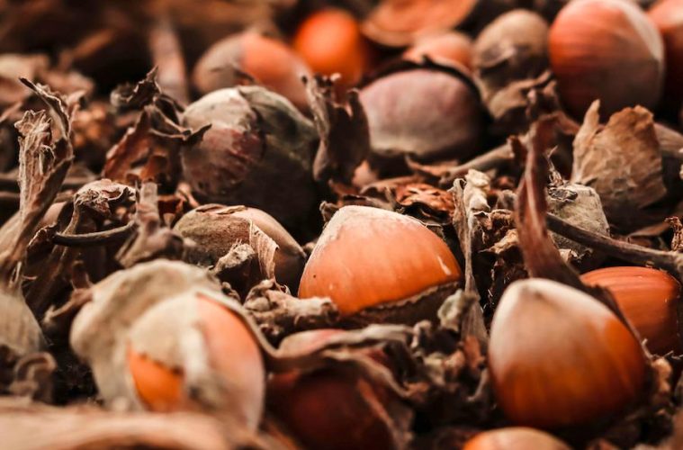 Biometano para el transporte a partir de residuos agroalimentarios