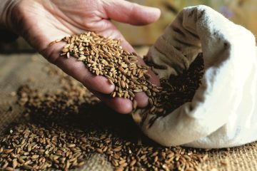 Comienza en Ciudad Real la feria de ingredientes naturales Origin Natura