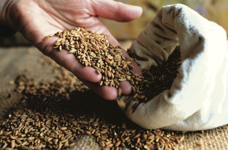 Comienza en Ciudad Real la feria de ingredientes naturales Origin Natura