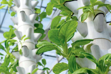 España, destino de la inversión extranjera también en el sector agroalimentario Foto ICEX