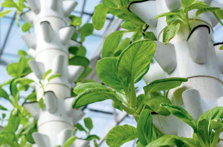 España, destino de la inversión extranjera también en el sector agroalimentario Foto ICEX