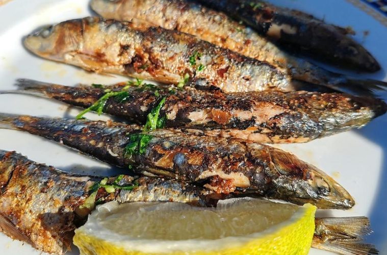 Este año tendremos más sardina y más boquerón