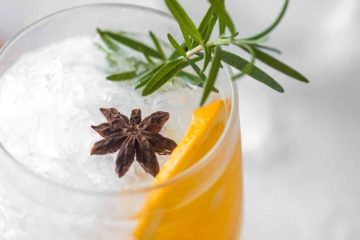 Ginebra aromatizada con pieles de naranja