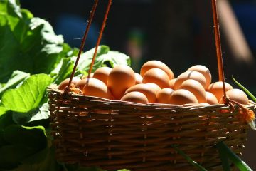 La FDA estadounidense reconoce al huevo como alimento saludable