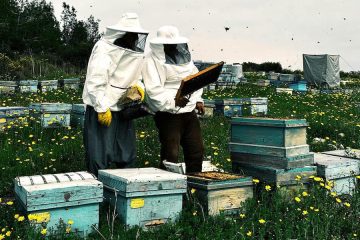 Los apicultores, muy preocupados por la grave crisis que atraviesa el sector