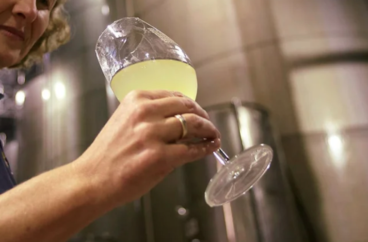 Los vinos fortificados quieren ser declarados Patrimonio de la Humanidad Foto DOP