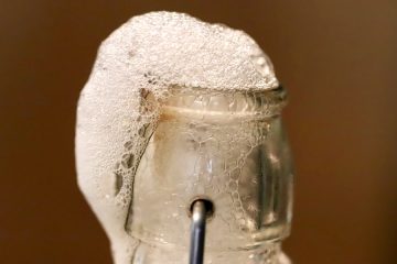 Barcelona acoge la primera edición en abierto de FRMNT, Festival de Fermentación