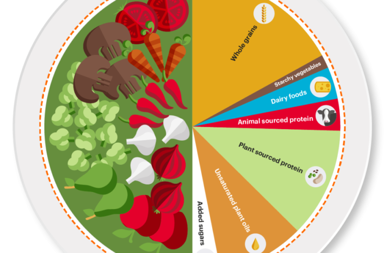 Claves para optimizar la Dieta de la Salud Planetaria y adaptarla a cualquier entorno