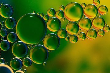 Nuevo material a base de aceite de oliva que podría reemplazar a los envases plásticos de alimentos