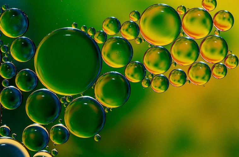 Nuevo material a base de aceite de oliva que podría reemplazar a los envases plásticos de alimentos